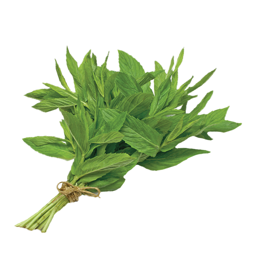 Mint – 100g